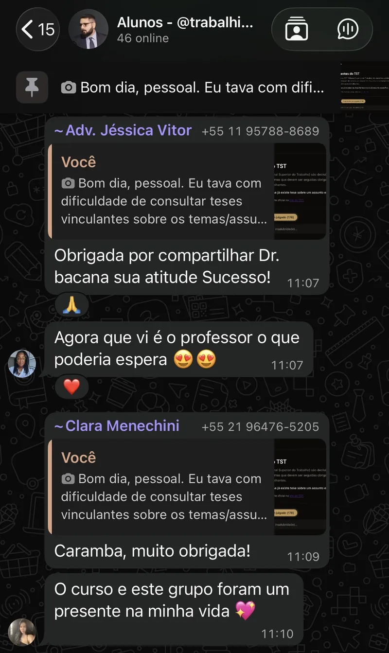 Reação dos alunos ao sistema de teses